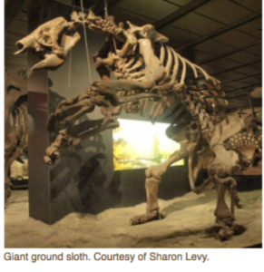 Once & Future Giants by Sharon Levy