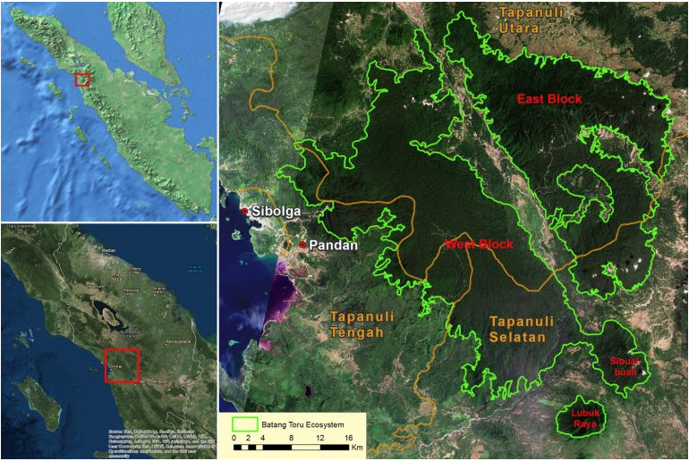 Map of the Batang Toru ecosystem, home to the Tapanuli orangutan (Pongo tapanuliensis) in Sumatra.